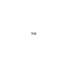 NTHIRTYTHREE